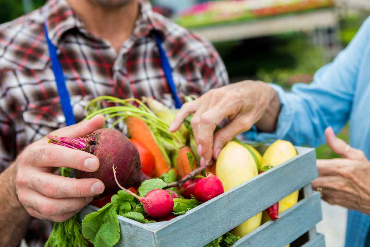 Male farmer selling fresh summer vegetables to senior woman. Carrots, radishes, and a beet are all in the small basket. The man is wearing a blue apron. Close up of vegetables and hands, the faces are out of the shot.